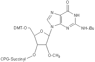 2 O Methyl G Ibu Suc Cpg 500 Rna 105 Lgc Biosearch Technologies