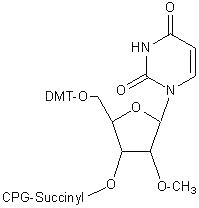 2 O Methyl U Suc Cpg 500 Rna Lgc Biosearch Technologies