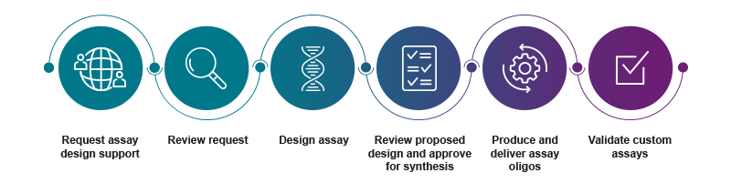 assay design and development process