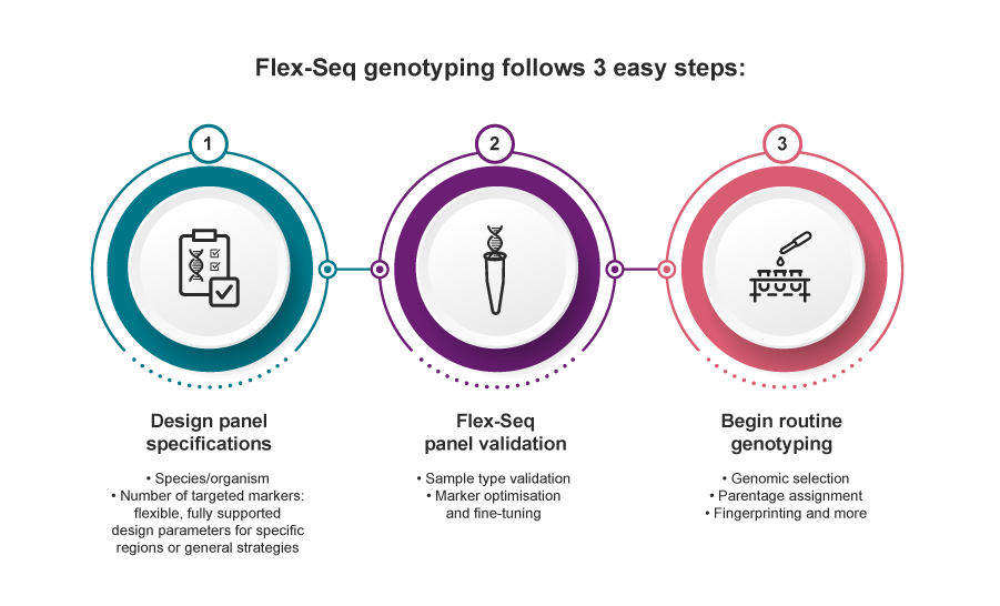 Flex Seq three step process