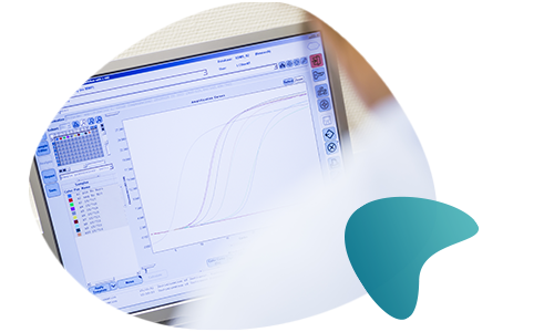 PCR curves on a computer screen