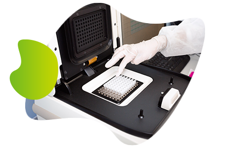 PCR genotyping