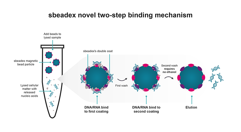 sbeadex-purification-mechanism