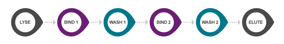 Original sbeadex nucleic acid purification protocol